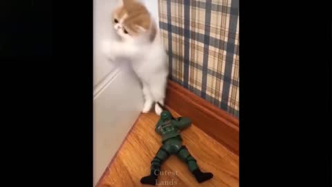 Kitten got Scared from Fake Soldier | Funny Kitten video.