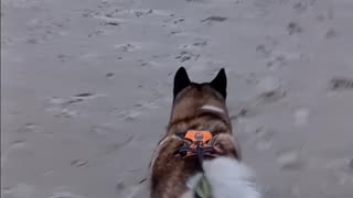 Long walk on the beach