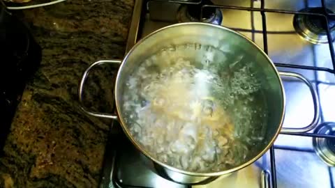 How to cook octopus calamari