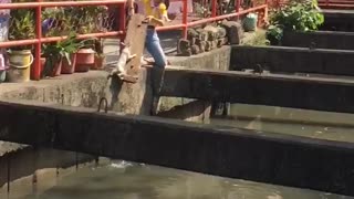 Woman Rescues Cat from Water