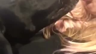 Black dog eats potato chip out of woman's mouth