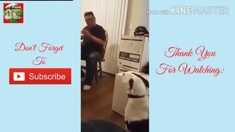 FUNNIEST DOG🐶COMPILATION😂