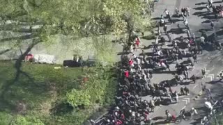 Large group of African migrants gathered at City Hall New York City of receiving green cards