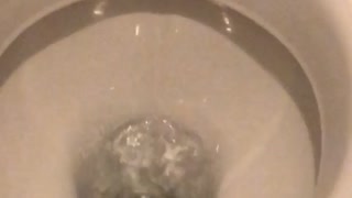 Water Bubbles Warble in Troubled Toilet Bowl