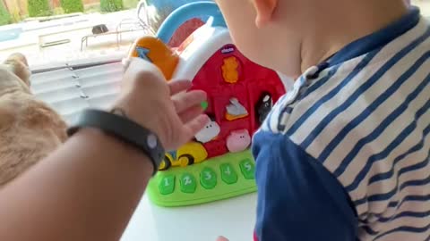 Adorable Cat Playing with cute little Baby kid.