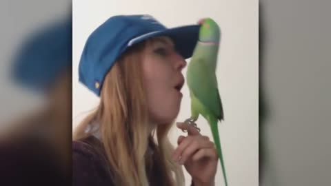 How Do Parrots Express Love?