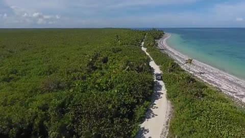 Hidden forest Island _ Drone Aerial View _ Free stock footage