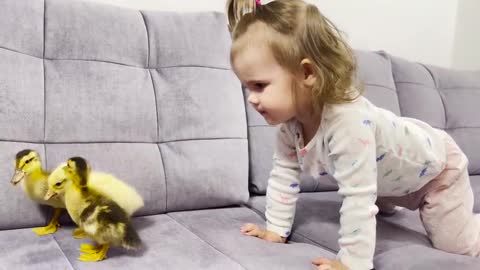 Cute_Baby_and_Funny_Ducklings