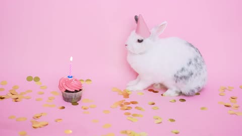 Cute Bunny Wearing a Party Hat Next to a Cupcake