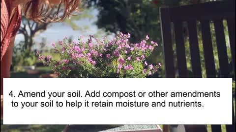 10 ways to make your garden stunning this summer