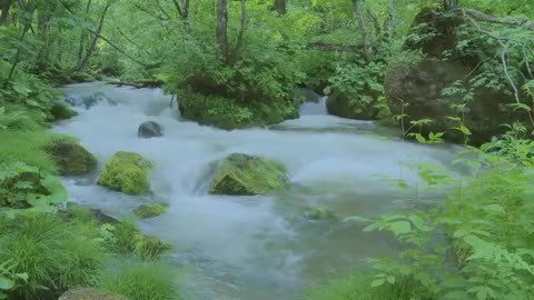 Sound of River To Relax, Meditate and Sleep.