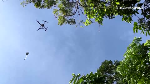 Swiss researchers monitor rainforest DNA with drones
