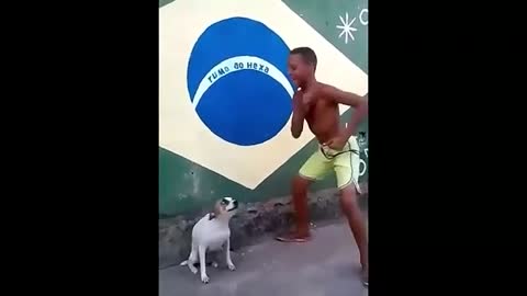 Perrito Bailando felizmente