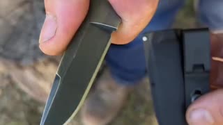 Small Pocket Fixed Blade EDC!!🔪#shorts #youtubeshorts #shortsvideo