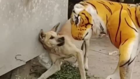 Fake Lion pranking Dogs