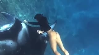 diver removes large hook from manta ray 👌❤️