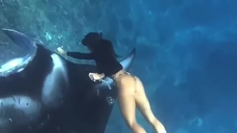 diver removes large hook from manta ray 👌❤️