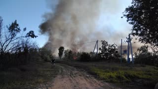 Fire, reeds are burning in the swamp, threat to the house nearby