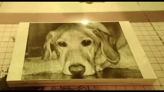 Photo Engrave Of our Old Dog [ Ortur LM2 Pro ]