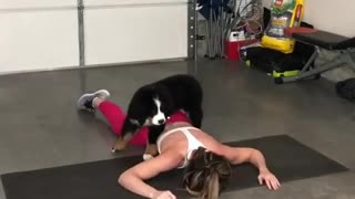 Puppy "helps out" owner with her workout