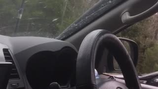 Speedy Driver Causes Accident