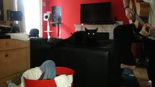 My cat jammin out with me on sofa