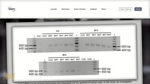 NEW STUDY: MRNA VACCINES MAY ALTER HUMAN DNA