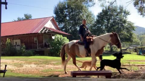 Saddling up is the hardest part of horseback riding