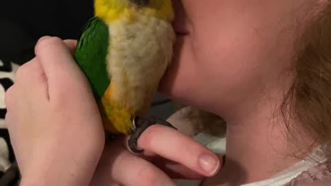 Sniffing your parrot is the best way to relax...