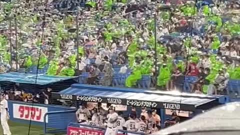 Japanese baseball crowds