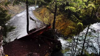 BITE-SIZED WILDS | STANDING AT THE VERY TOP OF INCREDIBLE KOOSAH FALLS! | Central Oregon | 4K