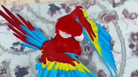 Parrot dance