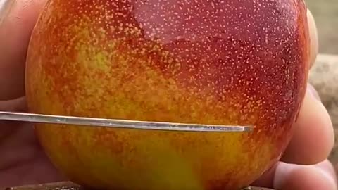 Farm Fresh Ninja Fruit Cutting Desi Satisfying Fruit Ninja Fruit Ideas | Amazing Fruits Video