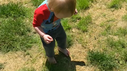Toddler Discovers Her Shadow