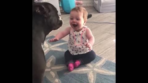 Dog fun with baby