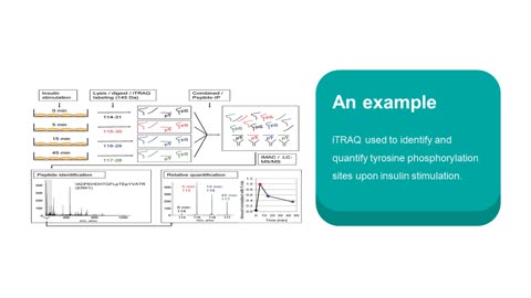 iTRAQ-based Proteomics Approaches