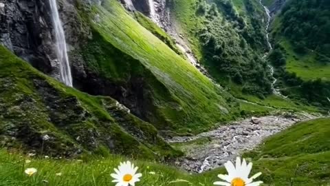 Mountain view. Beauty of flower.
