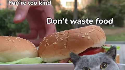 Don't Waste turn ham into delicious Food Funny cat cat memes Trending