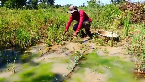 amazing fishing! a lots of fish in my special place this time catch by a fisherman skill by hand-3