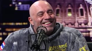 Alex Jones Gets Way Too high With Joe Rogan @RealAlexJones @joerogan