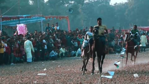 best horse rolling stones #horseracig 😍 #shortvideo #villagemarketbd #horsevideo #villagelife