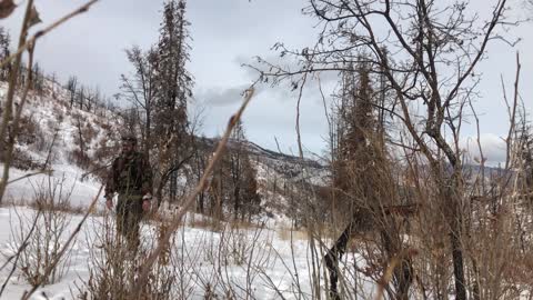 A December Winter Day Hike