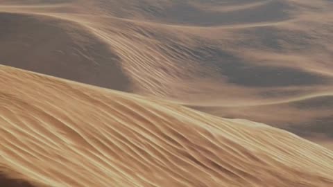 Facts About Sahara Desert | Sahara Desert
