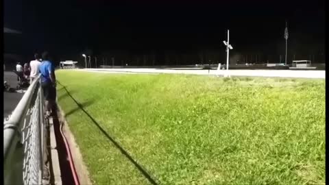 Night Greyhound Race at Derby Lane, St. Petersburg, FL