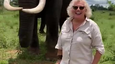 Adorable elephant pranks visitors