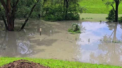 A flood that completely submerged trees and a meadow / a major flood.