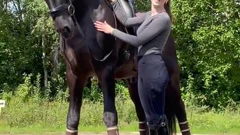 Woman is teaching her Friesian Stallion to dance with her!
