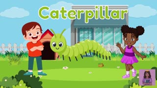 Let's Learn About Insects Educational Video For Kids