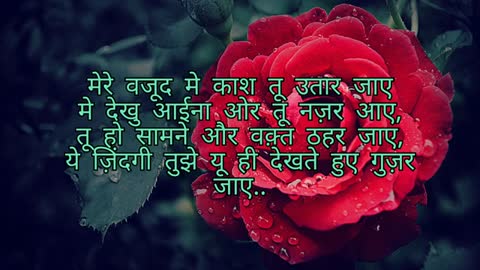 Love shayari in hindi moohabat shayari love shayari मोहब्बत शायरी @VoiceofSurat