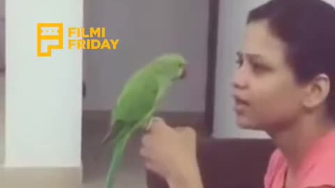 parrot speak whit manimegalae |cute|whatsapp status
